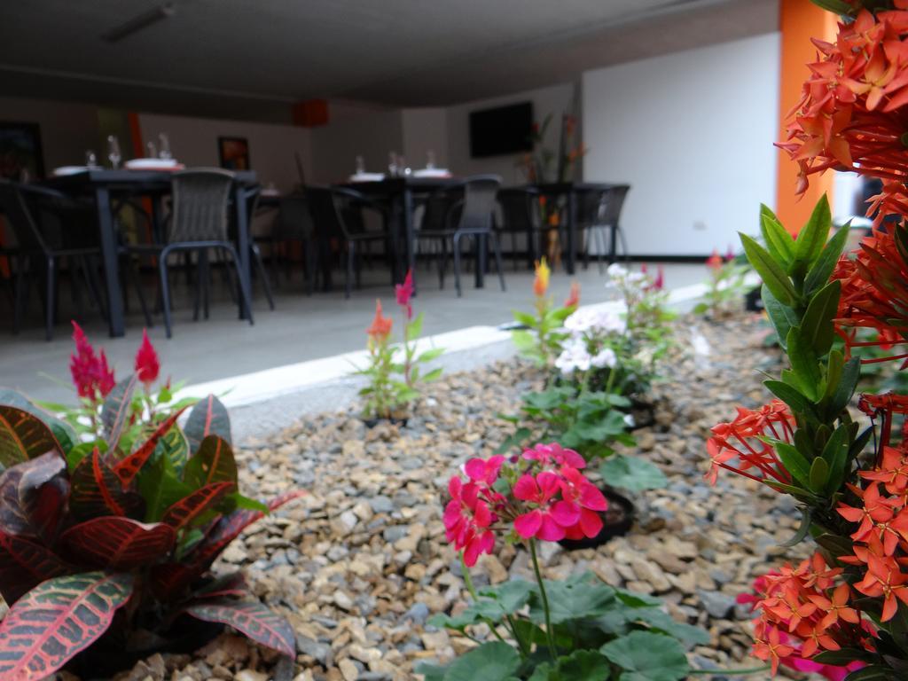 Mare Apartasuite 3*