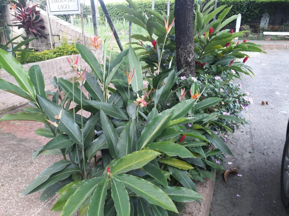 Jardin Del Lago *