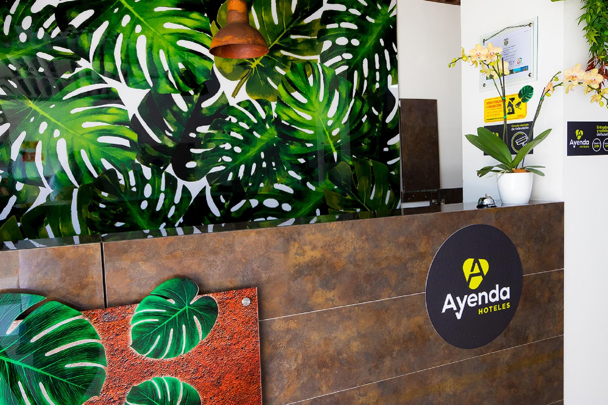 Ayenda 1420 Eco 3* Cali