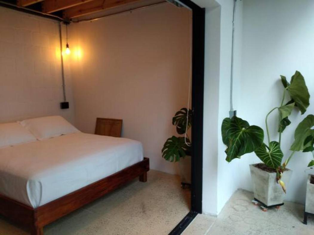Apartment Santa Teresita Loft *