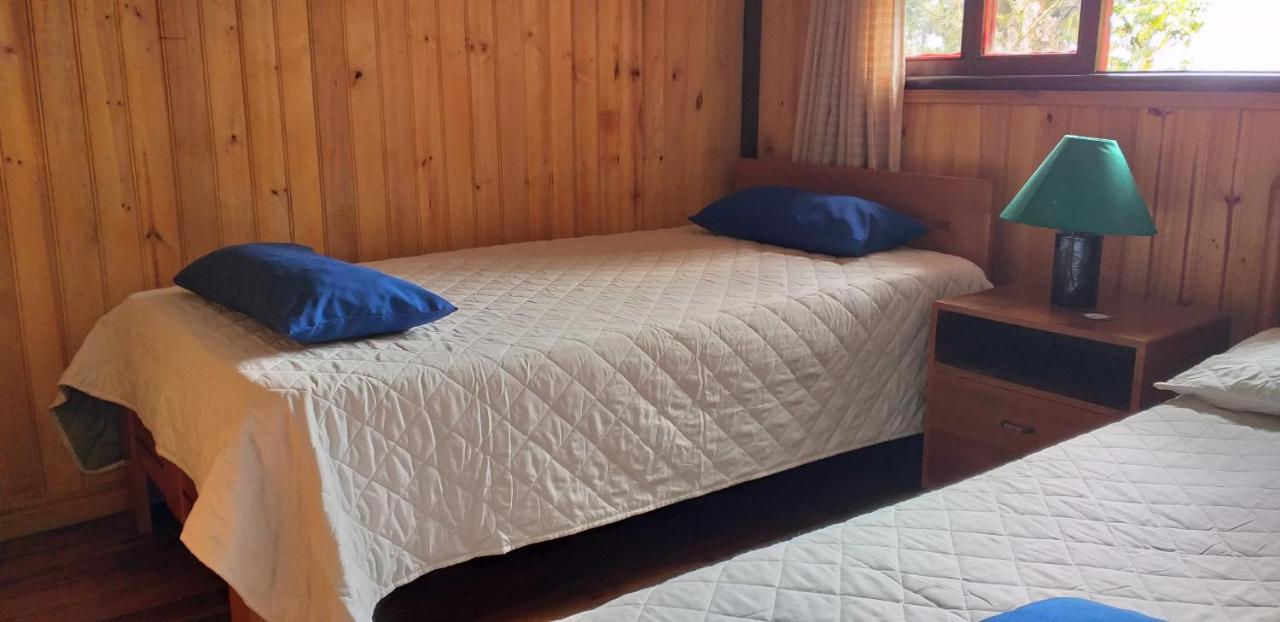Bosque De Niebla Birding & Nature Lodge