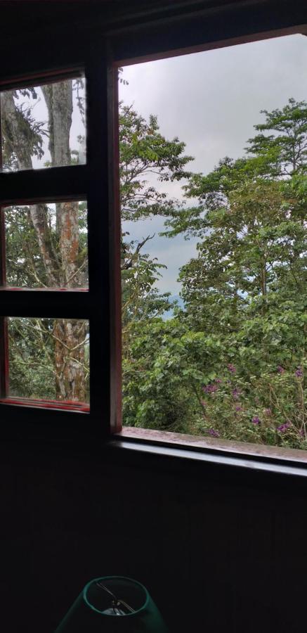 Bosque De Niebla Birding & Nature Lodge *