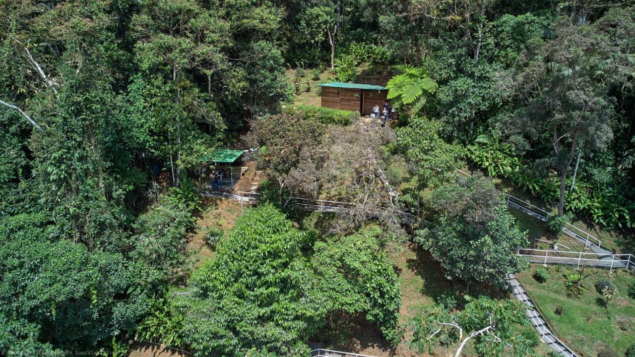 Bosque De Niebla Birding & Nature * Cali