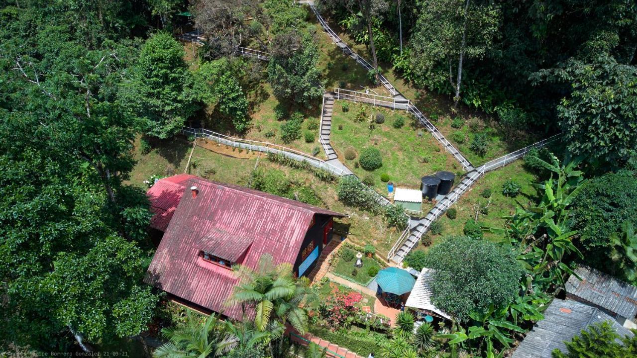 Bosque De Niebla Birding & Nature Lodge Cali
