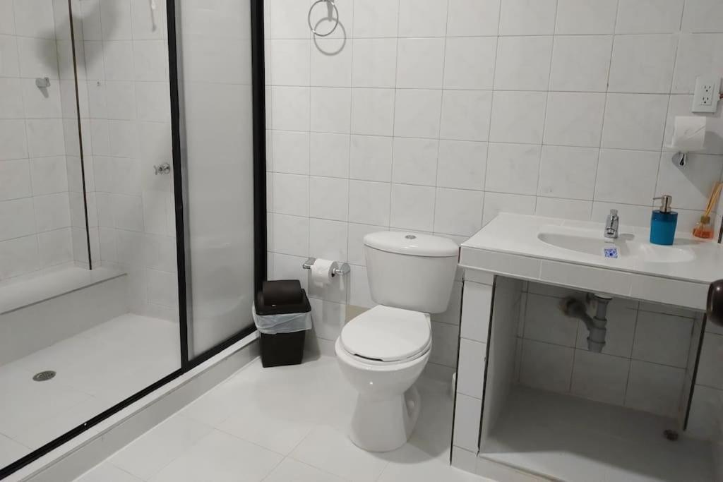 Apartamento Descubre Desde Acogedor Ubicacion Y Privacidad Garantizada