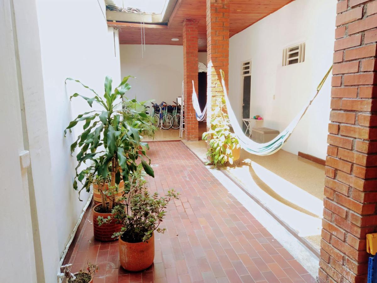 Casa Del Perro Coliving 2 Homestay