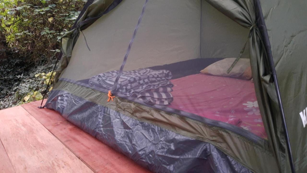 Bosque Colibri Camping *