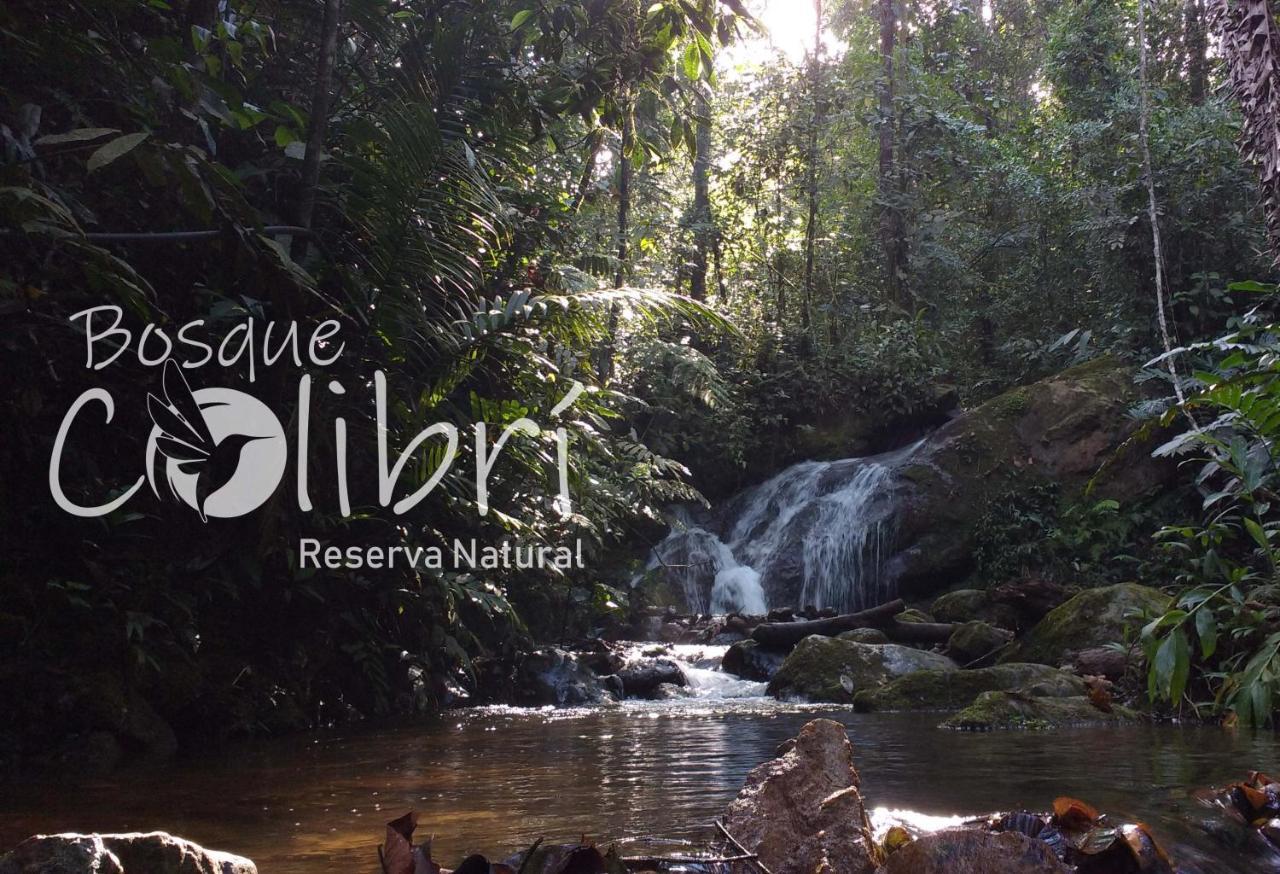 Camping Bosque Colibri