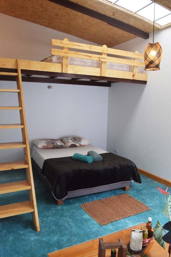 Bosque Colibri Camping