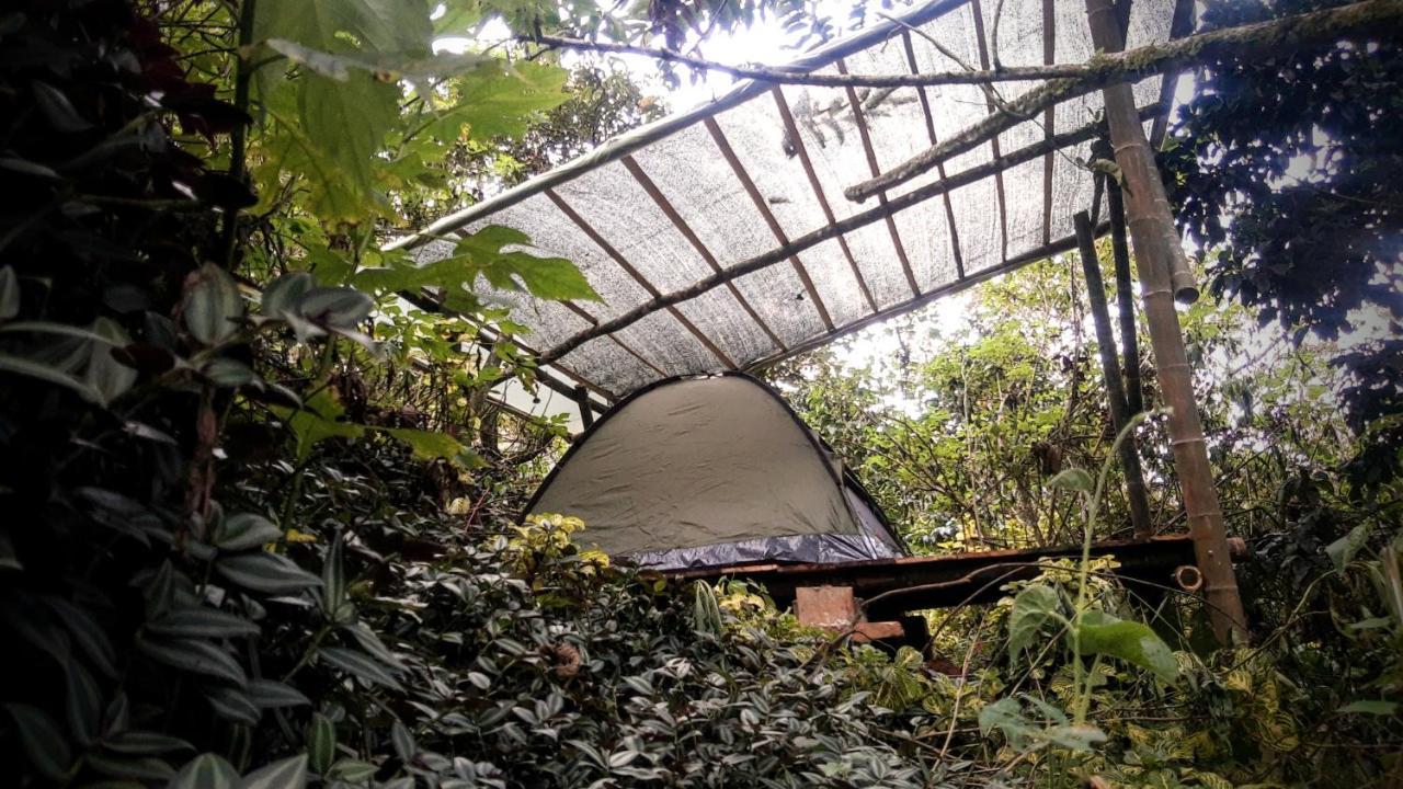 Bosque Colibri * Cali