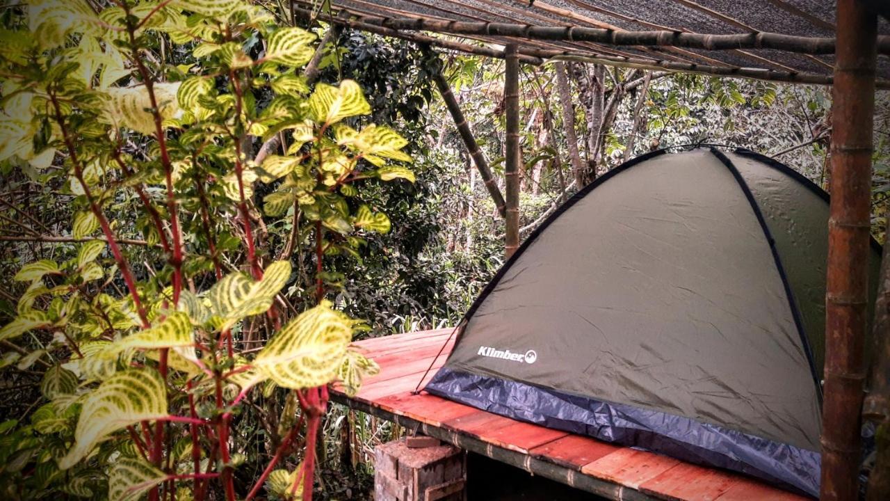 Camping Bosque Colibri Cali