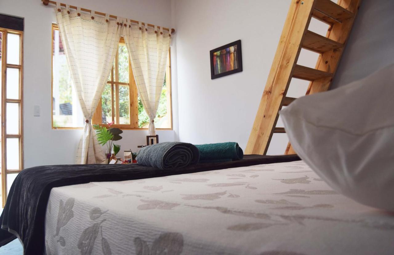 Bosque Colibri Camping