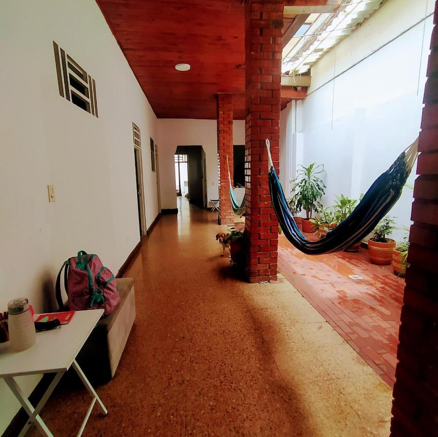 Homestay Casa Del Perro Coliving 2