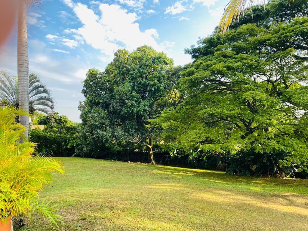 Casa Jardin Del Bed & Breakfast *