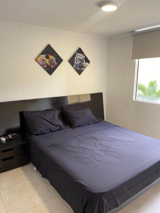 Lo Que Buscas, Lindo, Comodo, Tranquilo, Buena Ubicacion, Buen Precio, Por Dias, O Mes Cali
