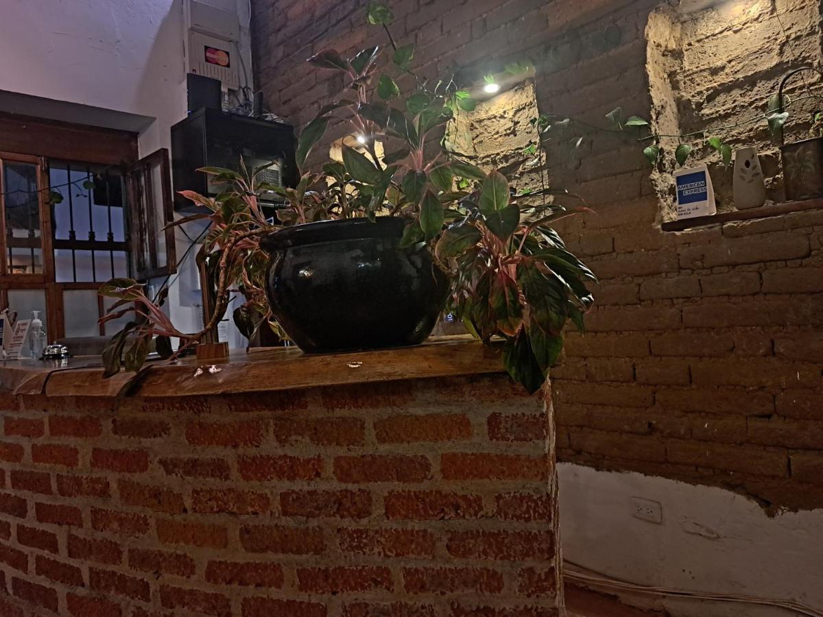 Hotel Terraza De San Antonio 3*