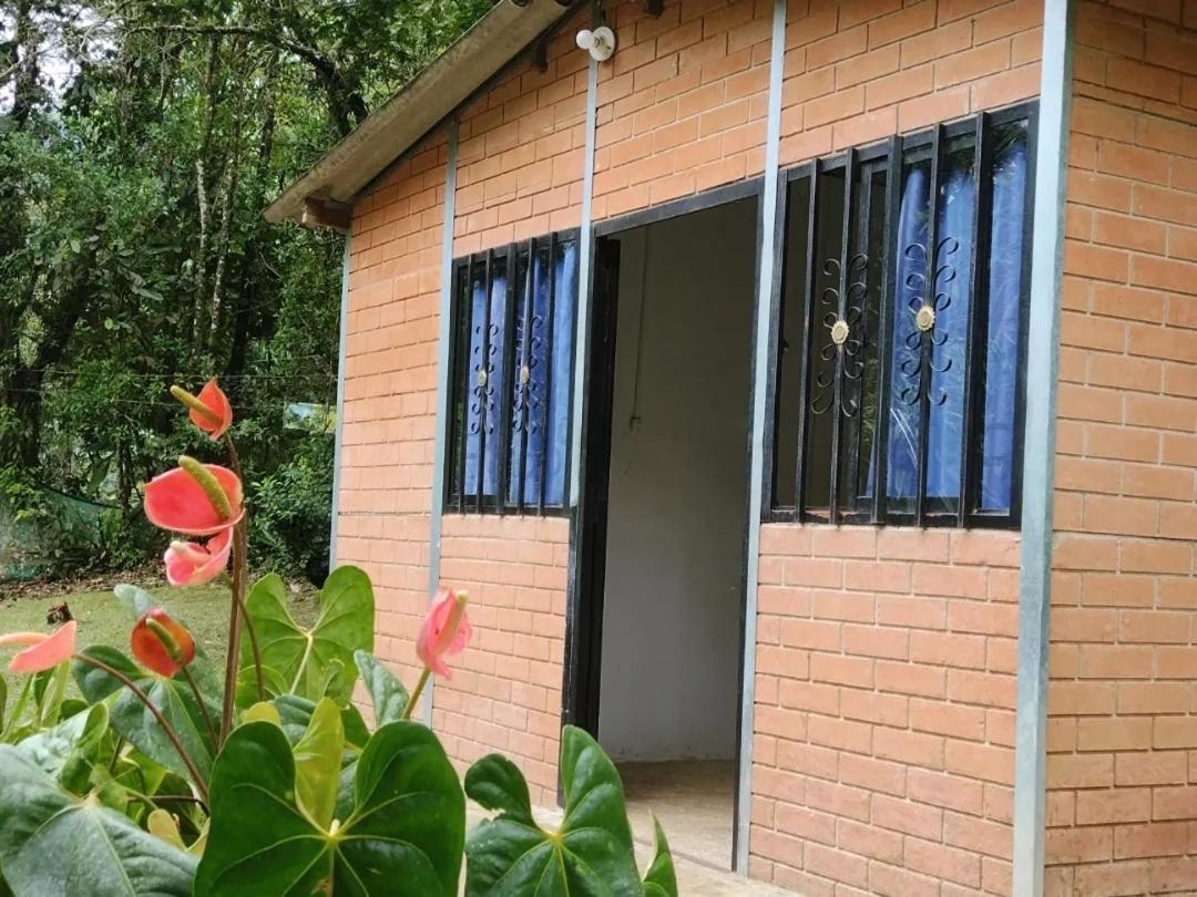 Casa rural Sapiens House