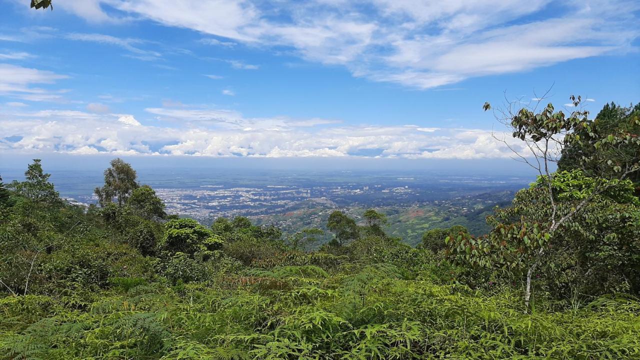 Luna Nueva Eco