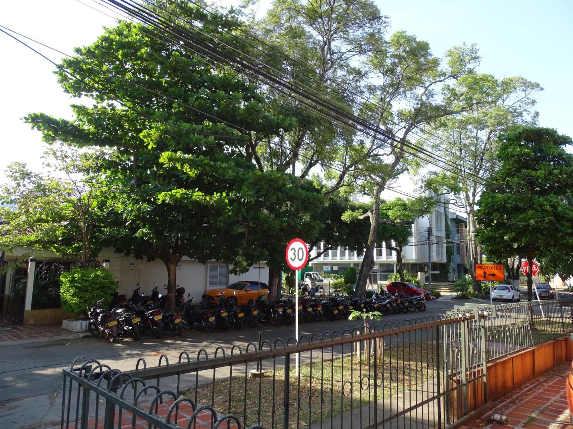 Apartamento En El Sur De *
