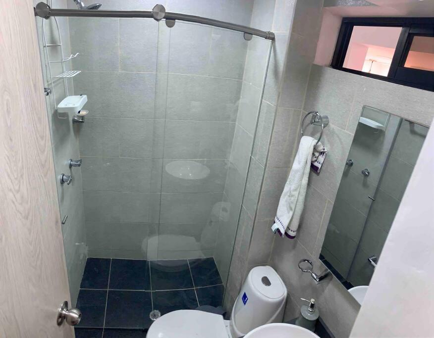 Apartamento Aparta Estudio Miraflores