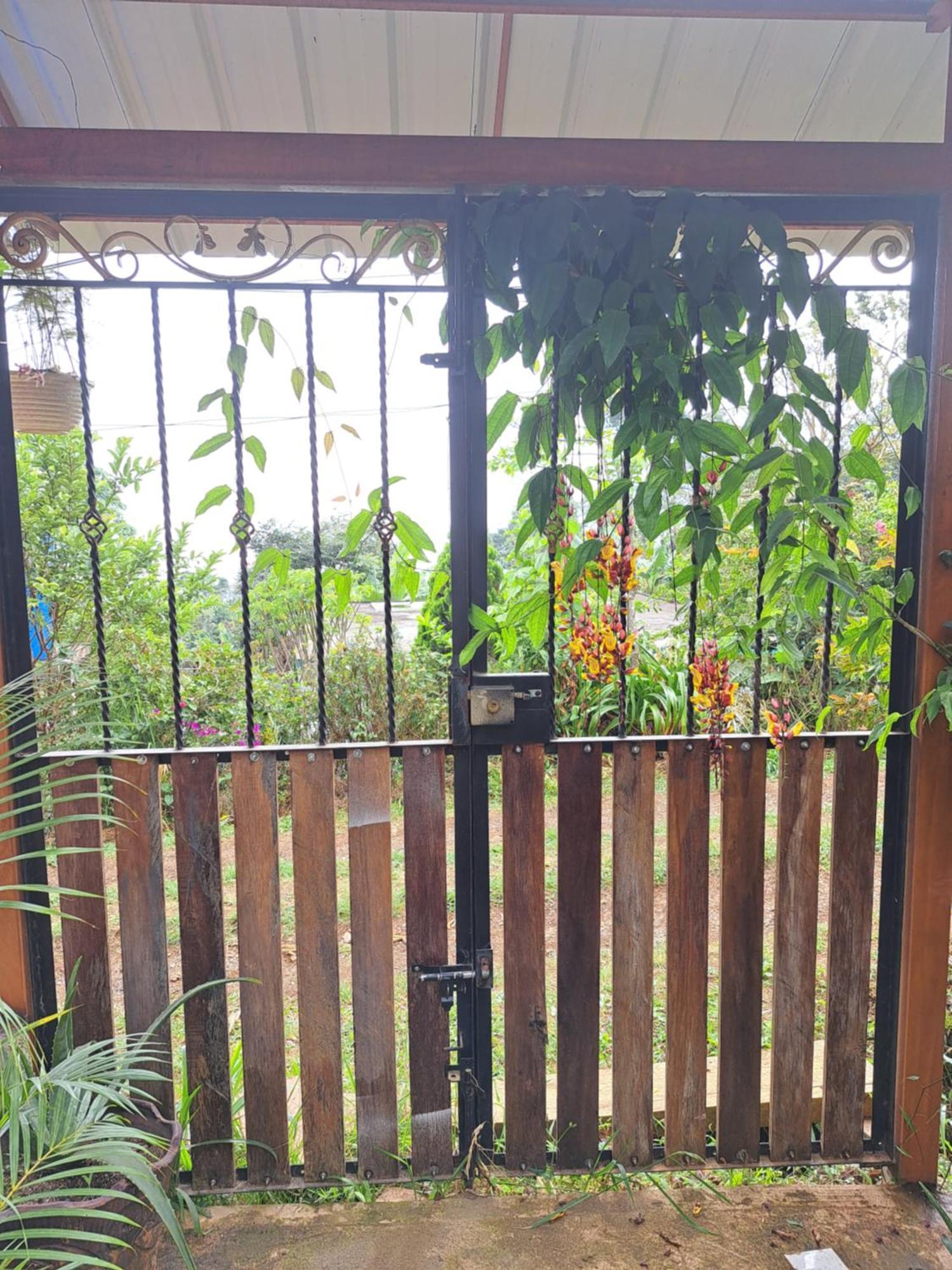 El Rincon De Blanquita