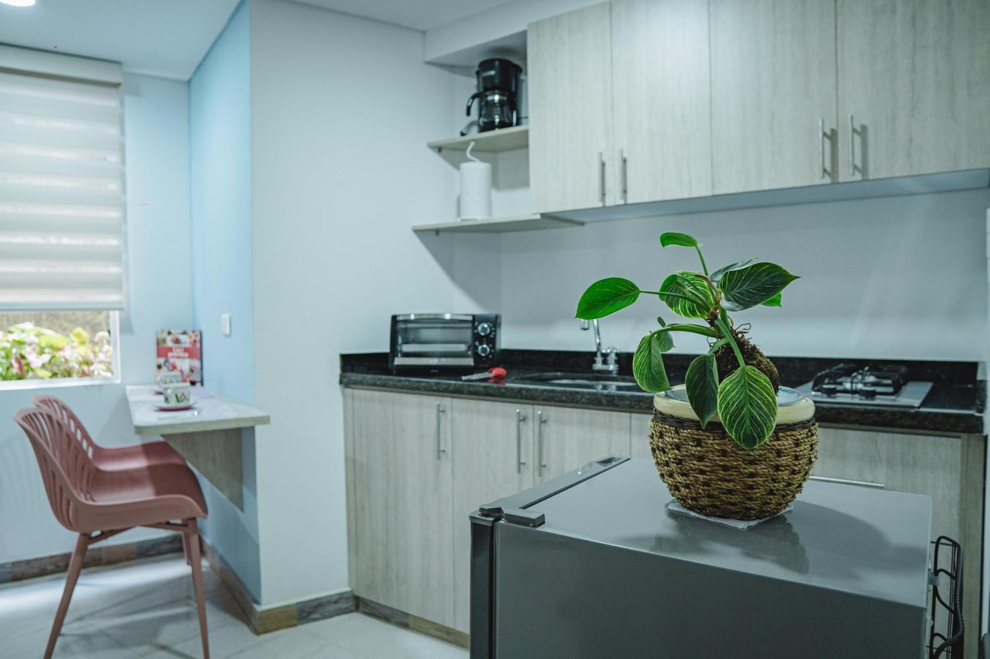 Heliconia Enjoy New Comfortable With Terrace Cali