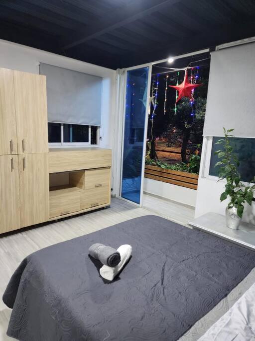 Departamento Moderno Cali