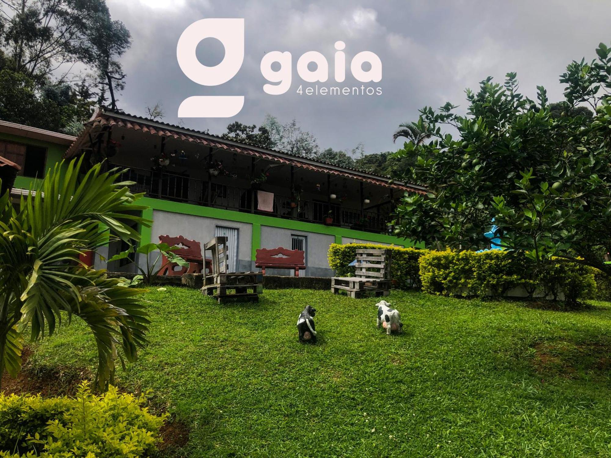 Gaia 4 Elemento Cali