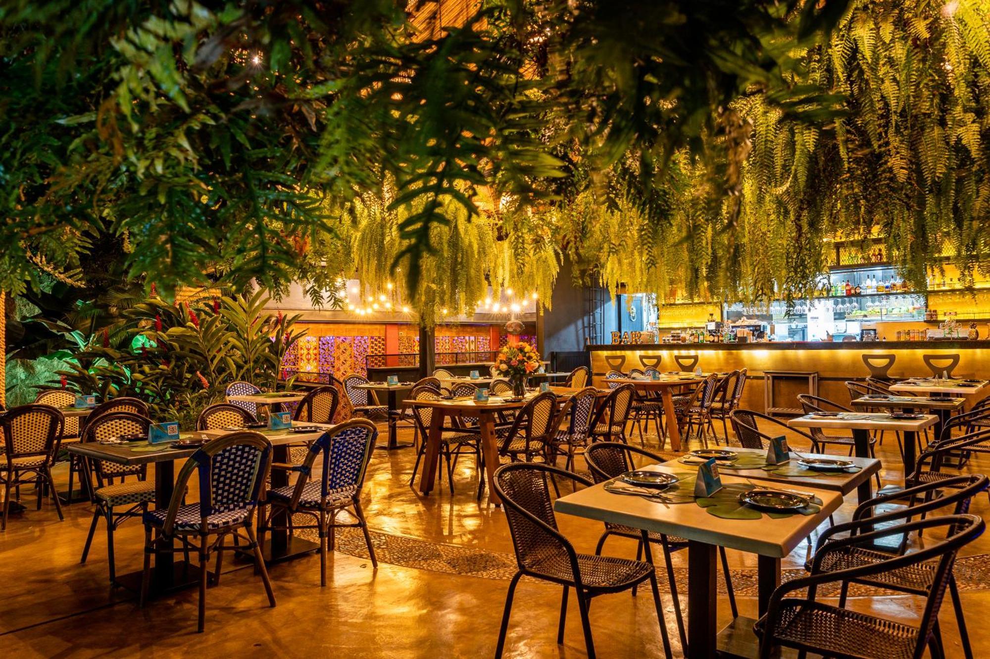 Rossa Palma 4* Cali