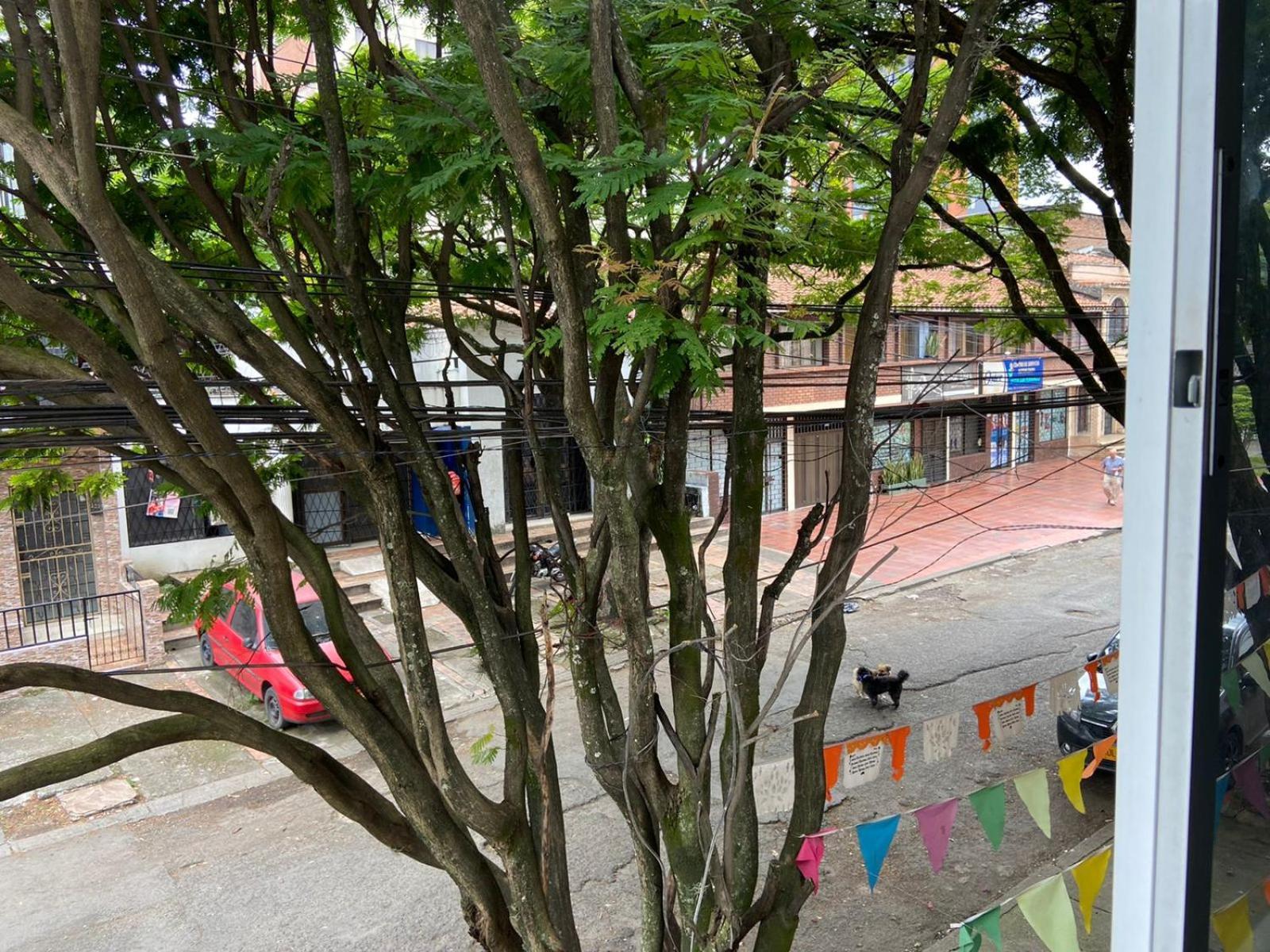 Estadio Apartamento *