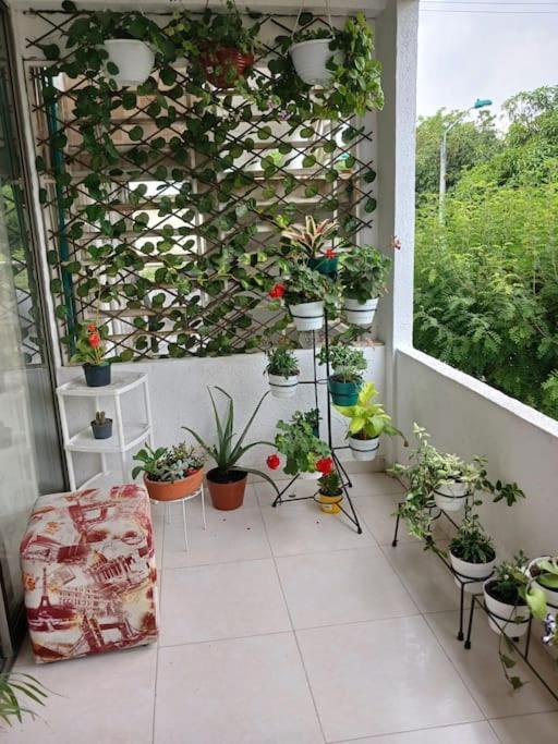 Apto 3 Alcobas, Segundo Piso Norte De Apartment *