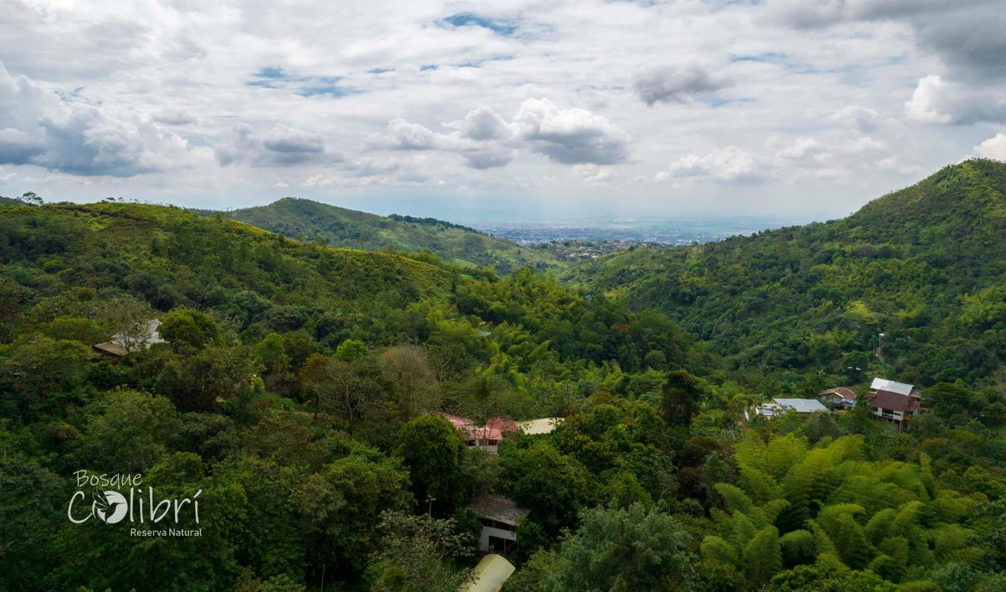 Bosque Colibri Camping