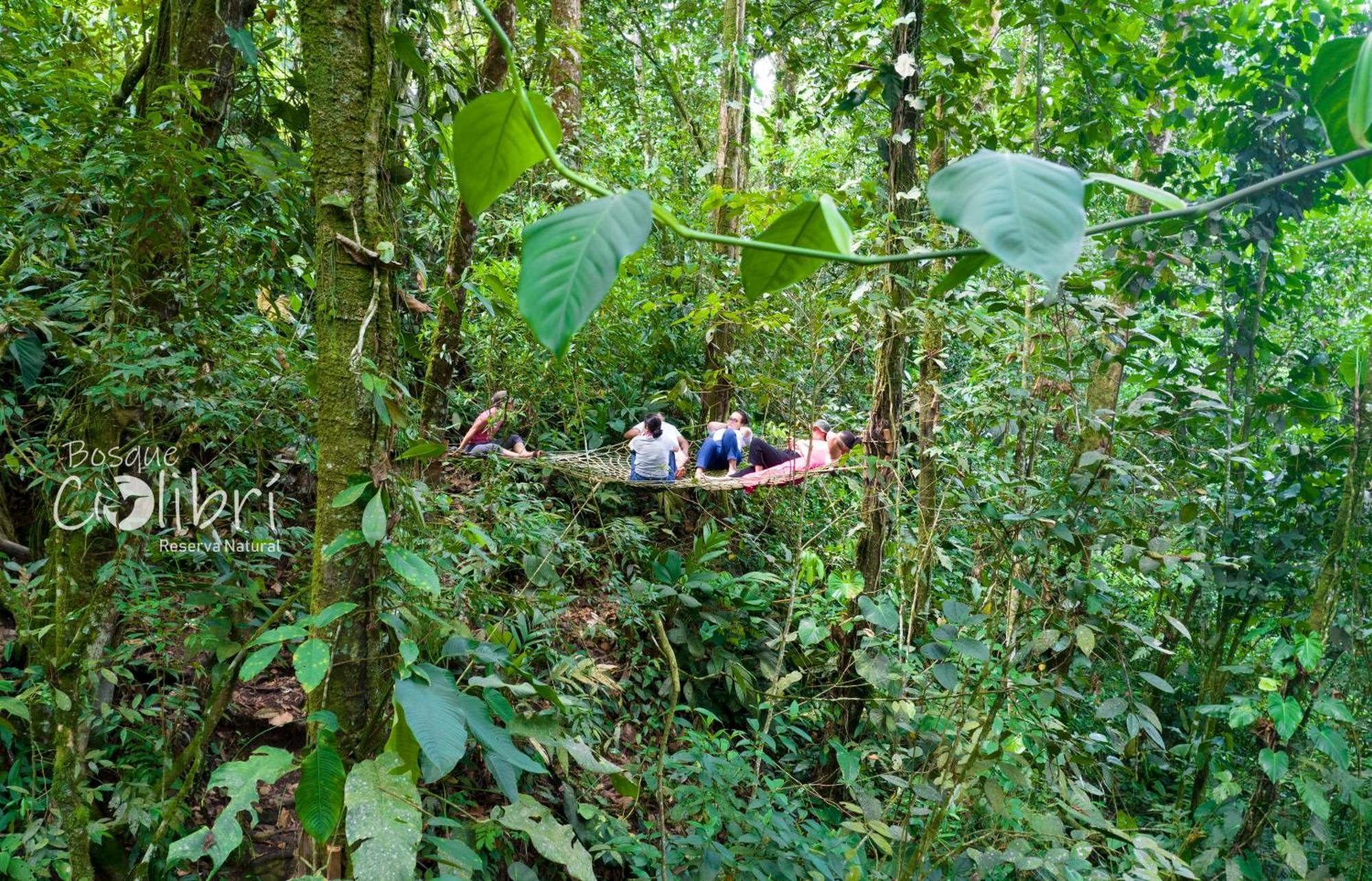 Camping Bosque Colibri *