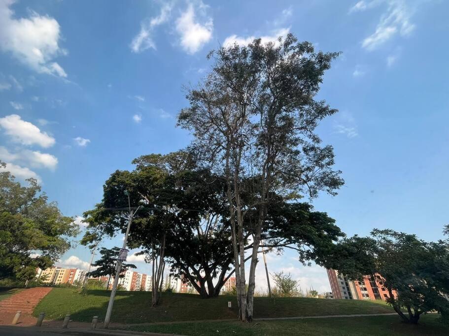 Hermoso Y Tranquilo Apto Piso 10 Sur Con 2 Aires Acondicionados Cali