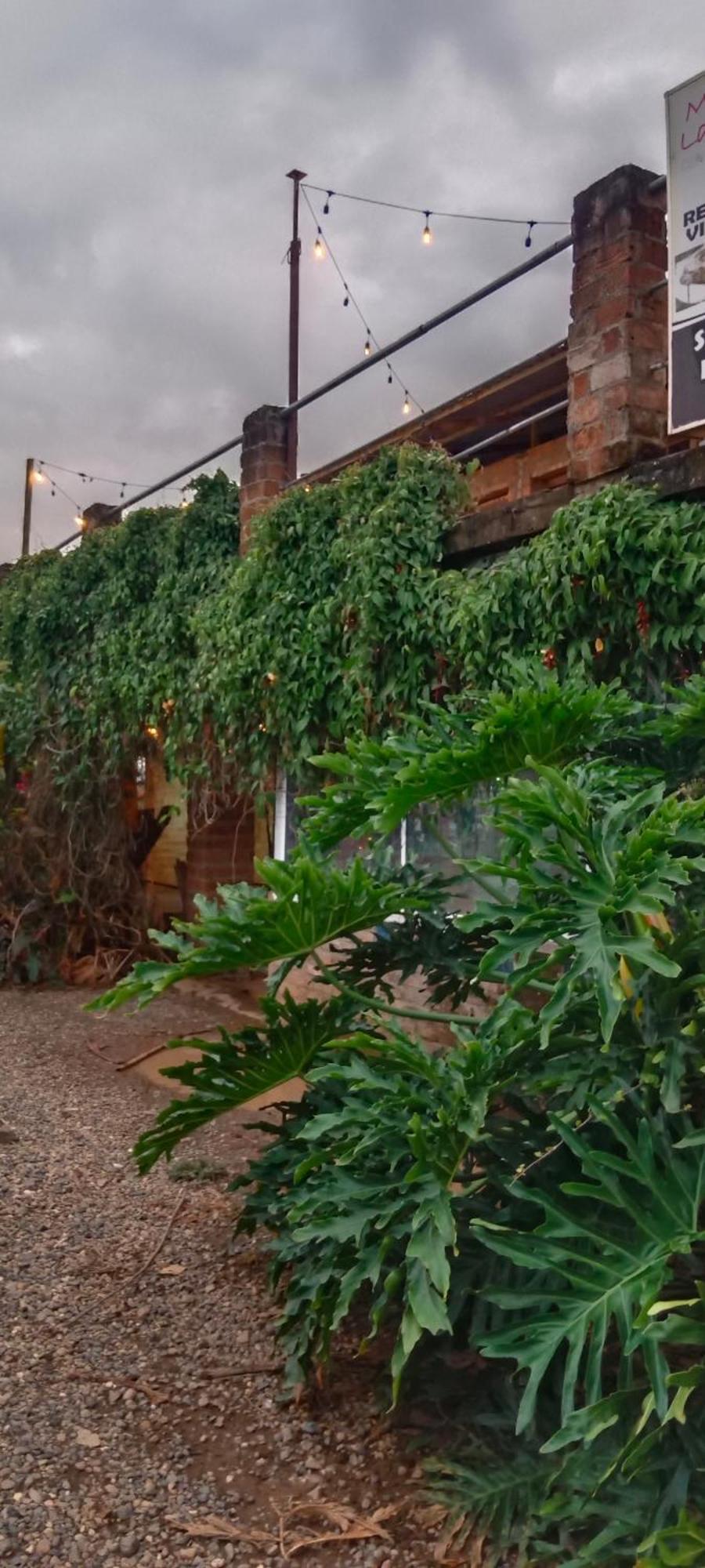 Camping Casa Oma *