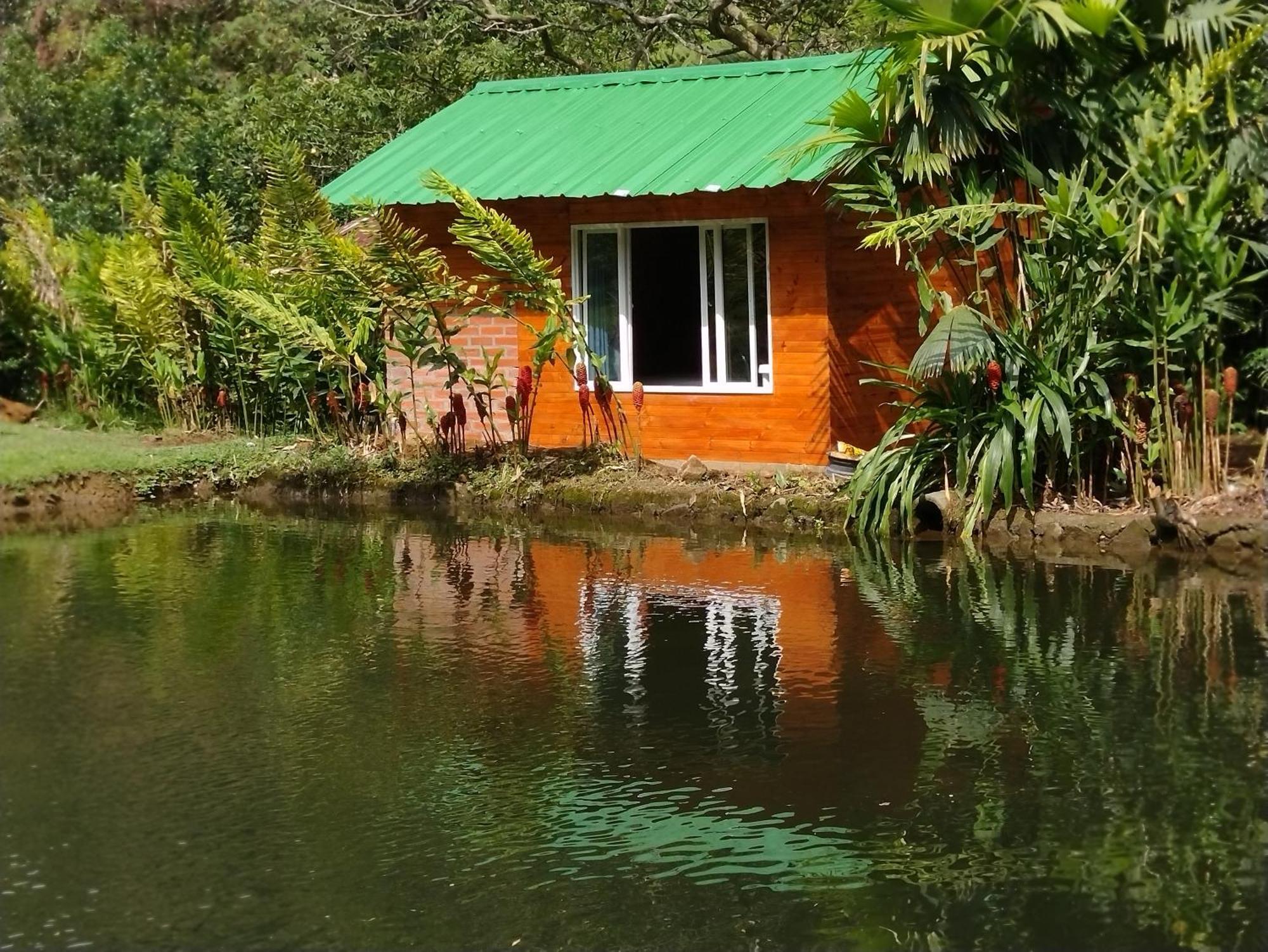 Sapiens House Del 3 Campsite Cali