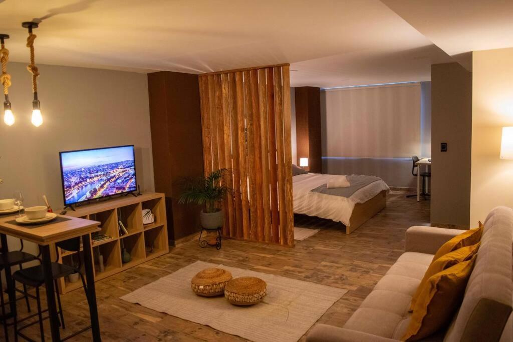 Lujoso En Sur De Apartamento