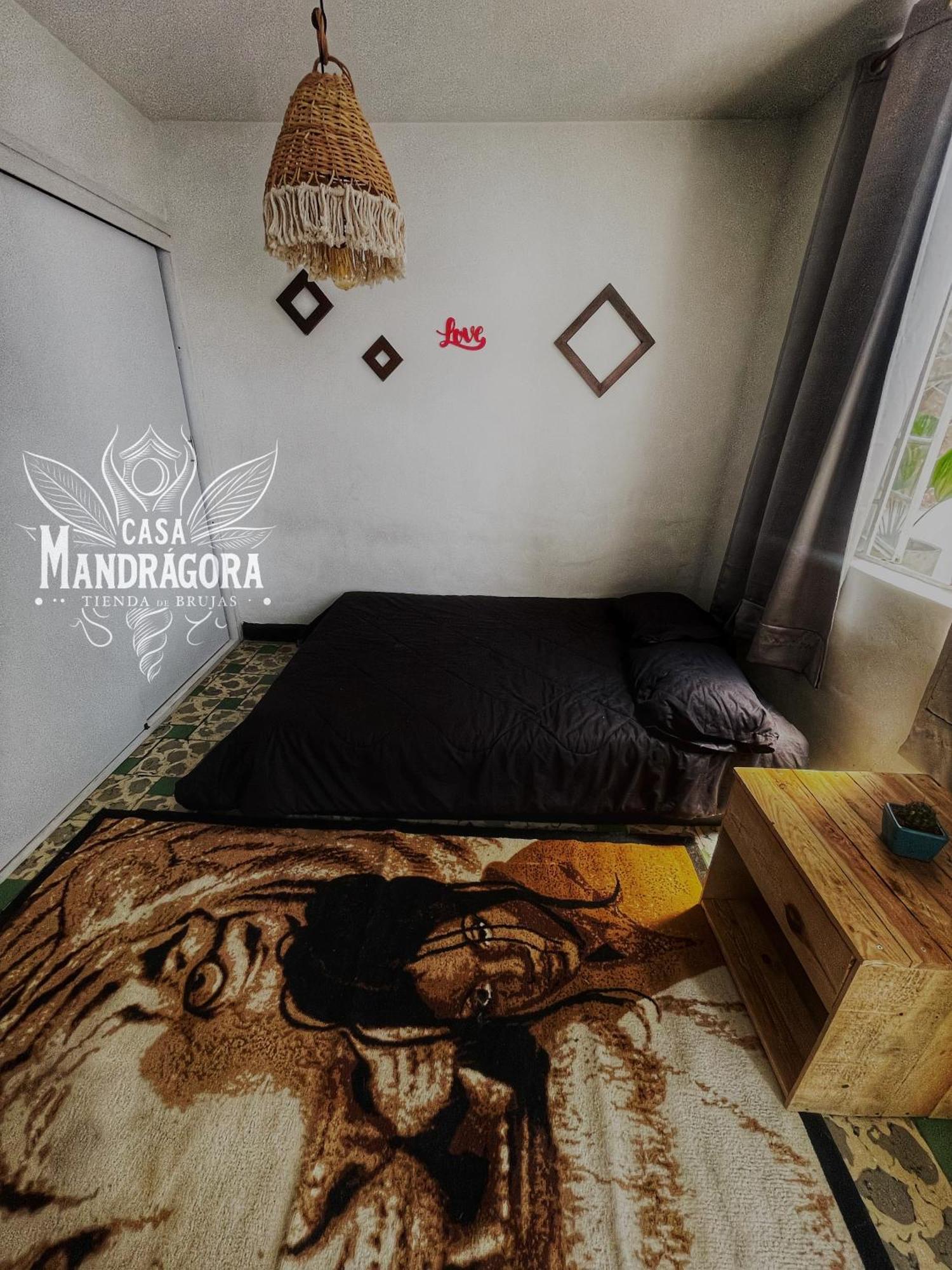 Casa Mandragora Pensión