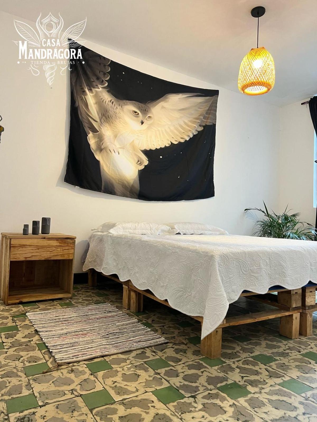 Pensión Casa Mandragora Cali