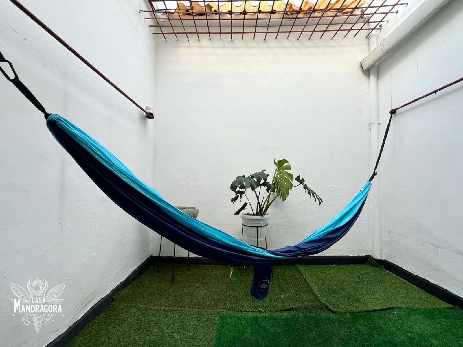 Casa Mandragora Pensión *