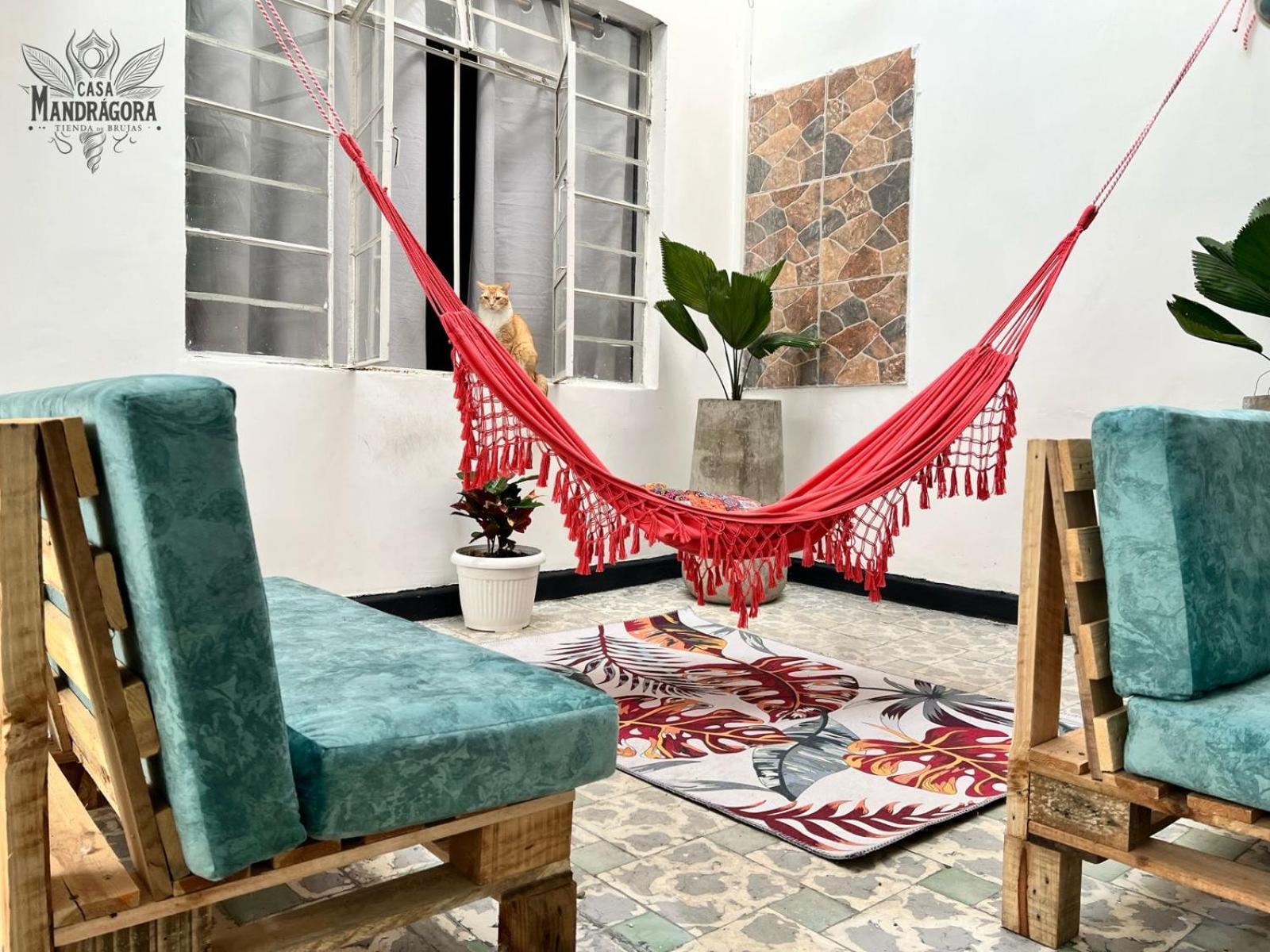 Pensión Casa Mandragora Cali