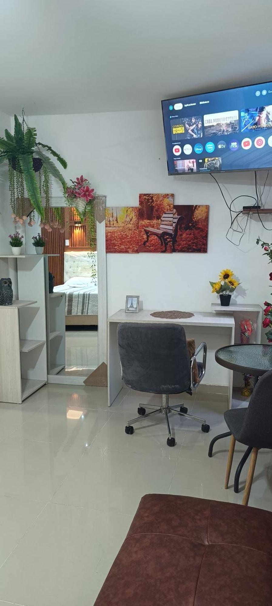 Apartamento Aleli Comodo Apart/std, Aero/pto,t/nal De Transporte *