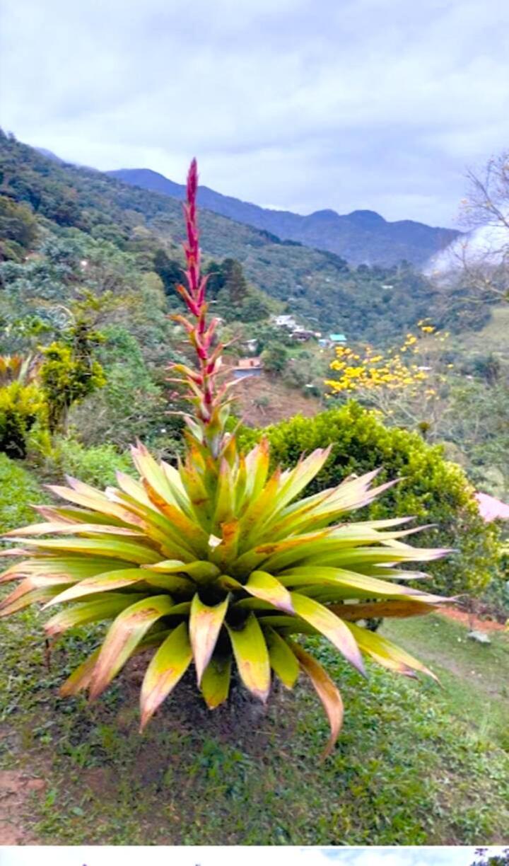 Сasa de vacaciones Via A Felidia -corregimiento De La Leonera Vereda El Porvenir, El Eden Cali