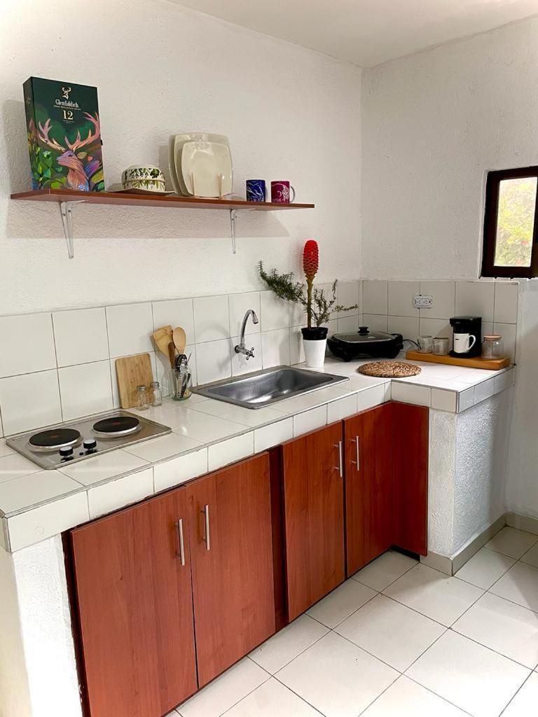 Apartment Zona Norte - Vipasa *