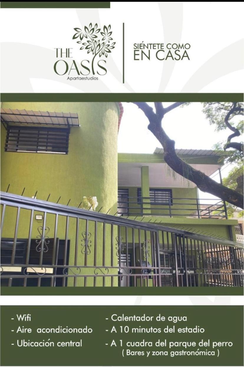 The Oasis *