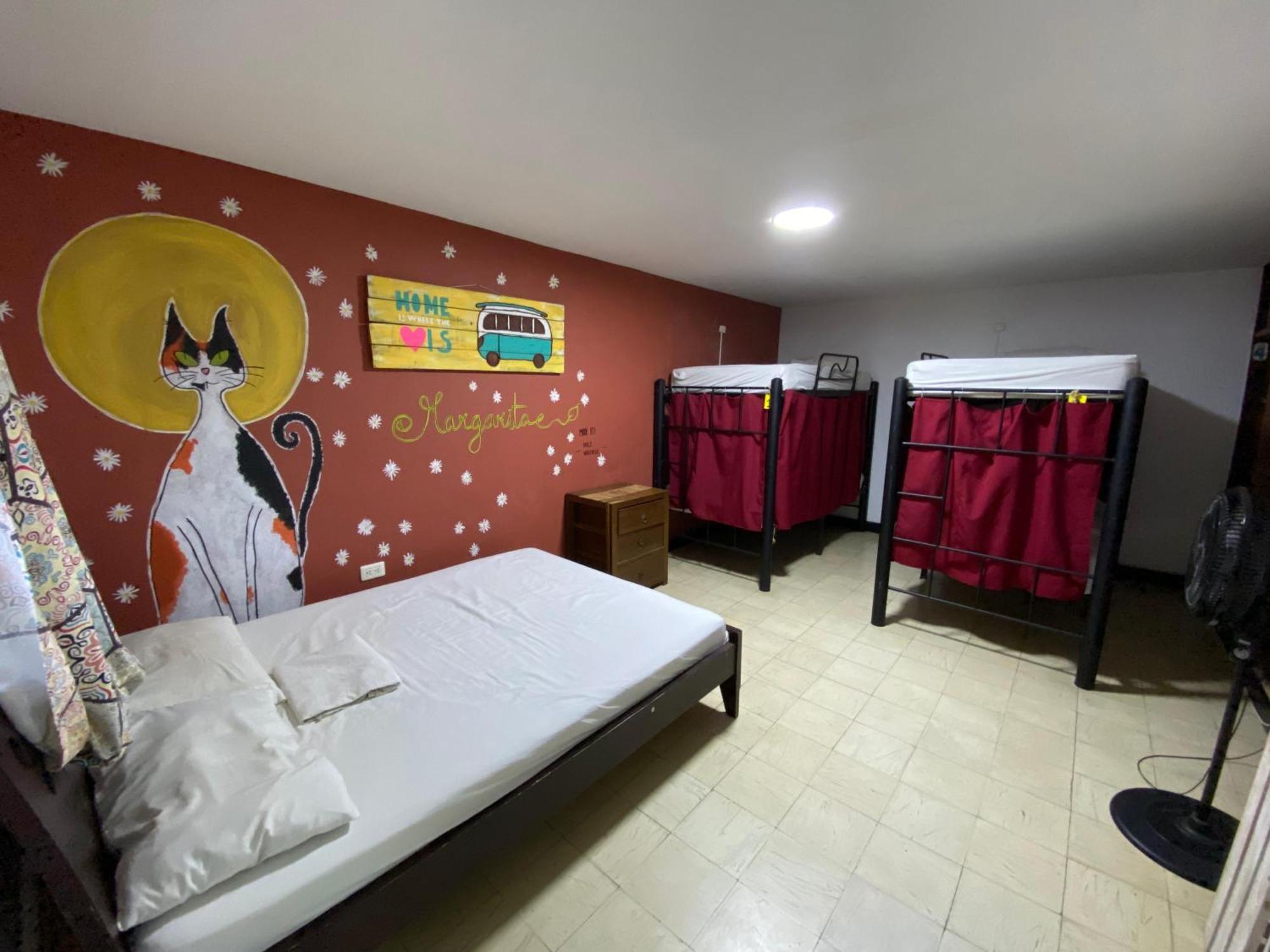Pelican Larry Hostal