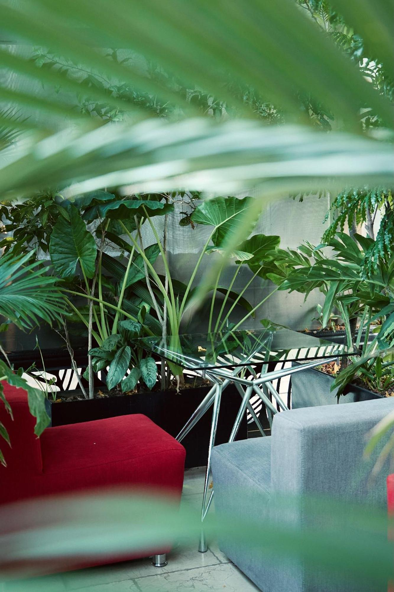 Now (adults Only) Hotel Cali
