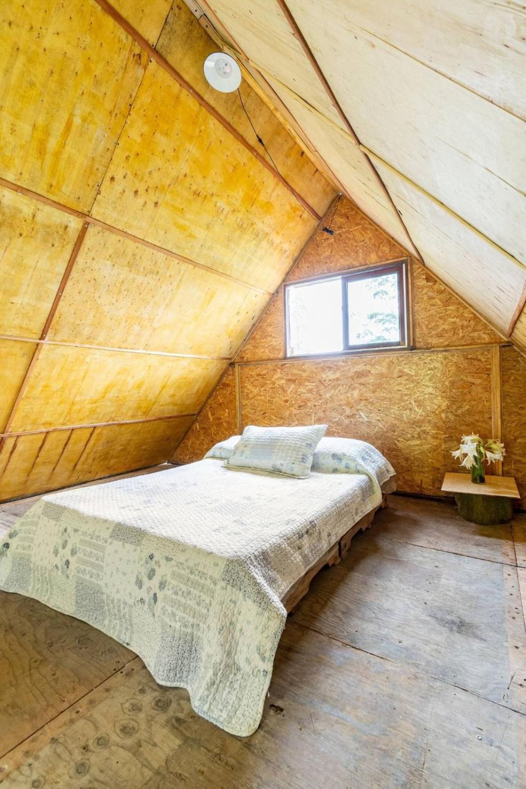 La Del Buho Camping