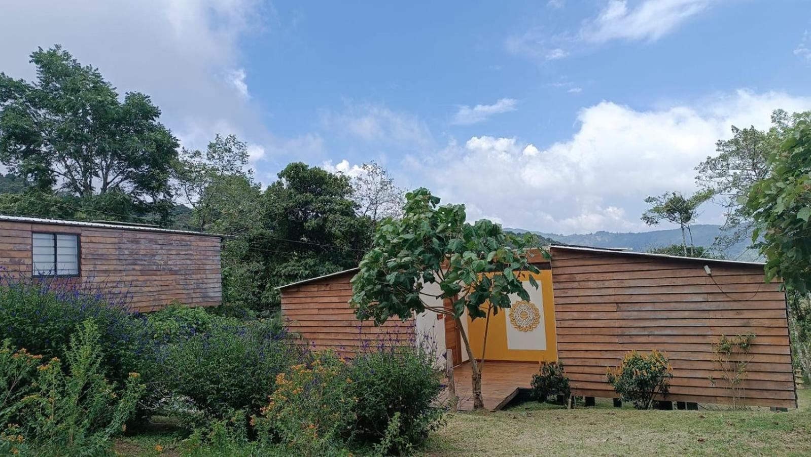San Felipe Lodge. Birding And Wellness *