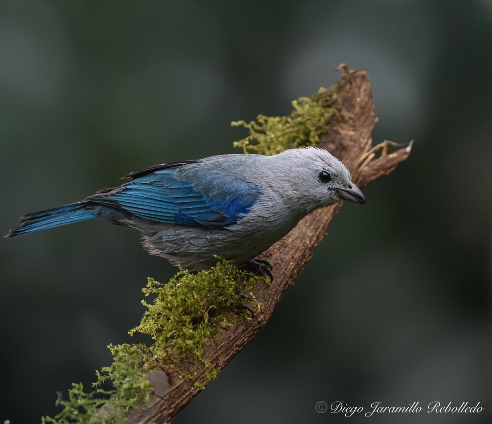 San Felipe Lodge. Birding And Wellness Lodge *